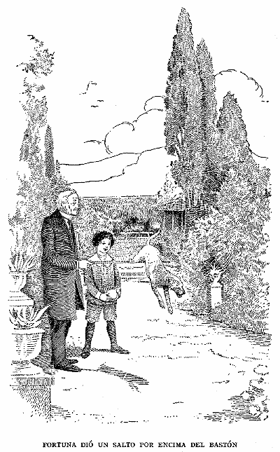 Fortuna dio un salto por encima del bast&oacute;n.